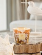 Scented candle Limited Edition Sacred Trees Cocody Max10