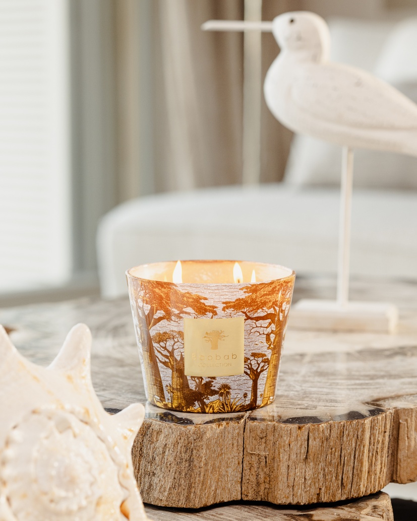Scented candle Limited Edition Sacred Trees Cocody Max10