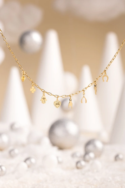 Lucky Necklace with Charms