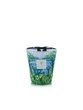 Scented Candle Limited Edition Sacred Trees Yarani Max 16