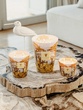 Scented candle Linited Edition Sacred Trees Cocody Max 35