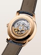 Patrimony Retrodrade Day-Date