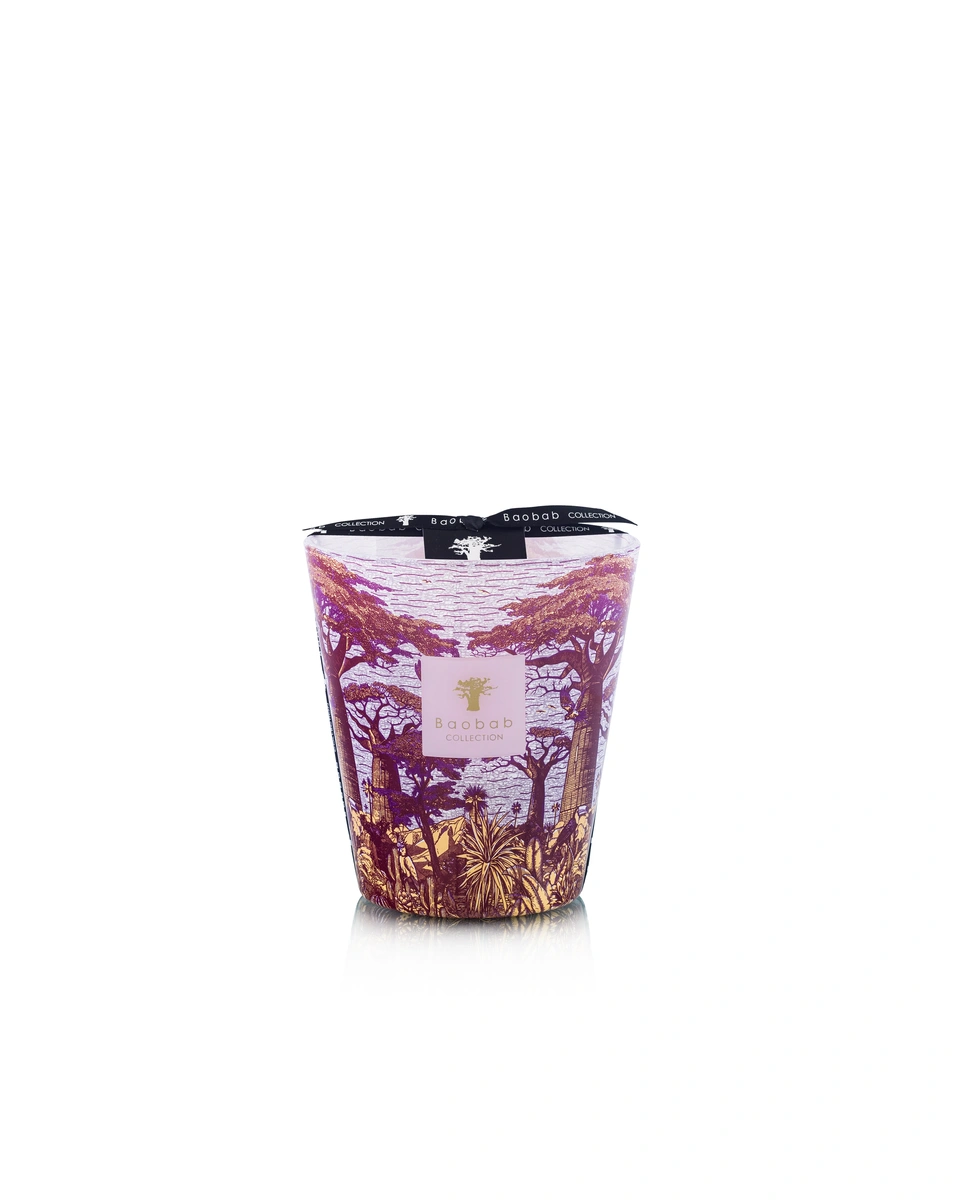 Scented Candle Limited Edition Sacred Trees Massasso Max 16