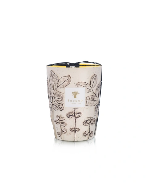 Scented candle Limited Edition Folia Calanque Max 24