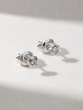 18 Karat White Gold Earrings with Diamonds