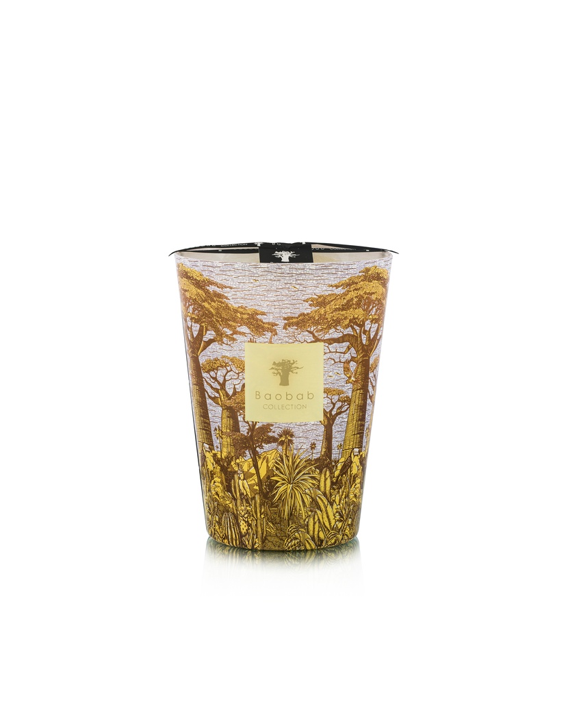 Scented candle Limited Edition Sacred Trees Cocody Max 24