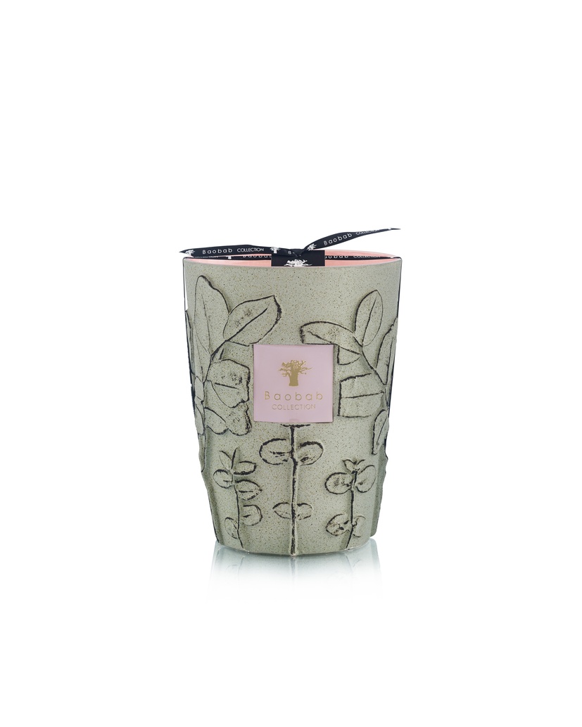 Scented candle Limited Edition  Folia Maquis Max 24