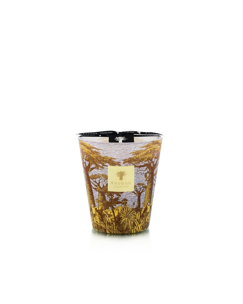 Scented candle Limited Edition Sacred Trees Cocody Max16