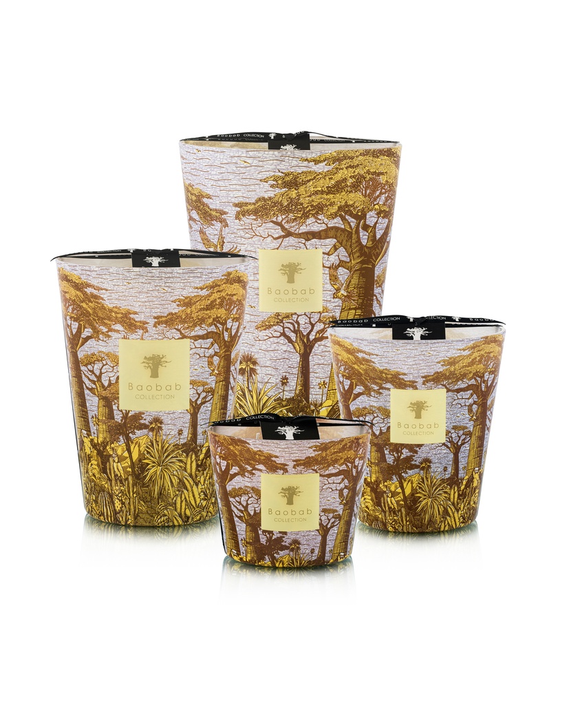 Scented candle Linited Edition Sacred Trees Cocody Max 35