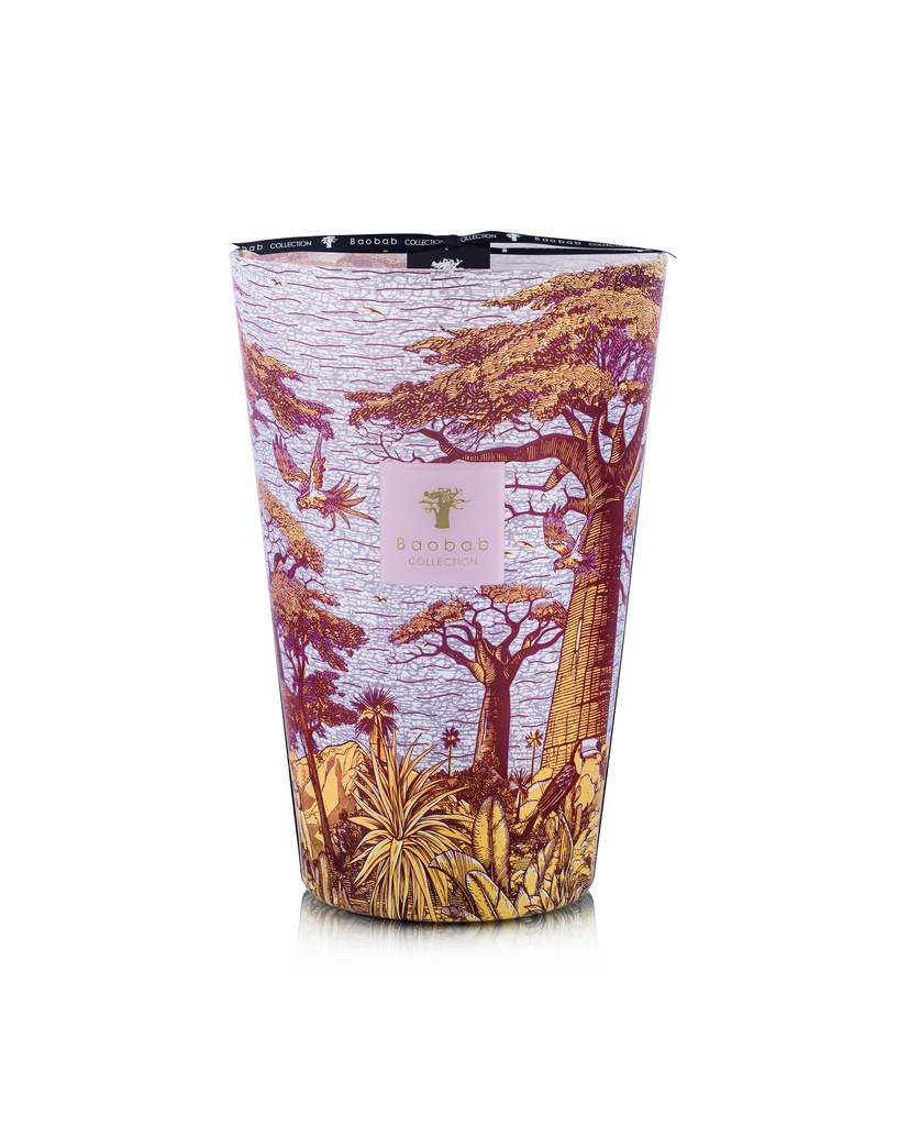 Scented Candle Limited Edition Sacred Trees Massasso max 35