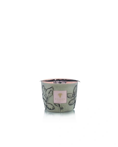 Scented candle Limited Edition Folia Maquis Max 10