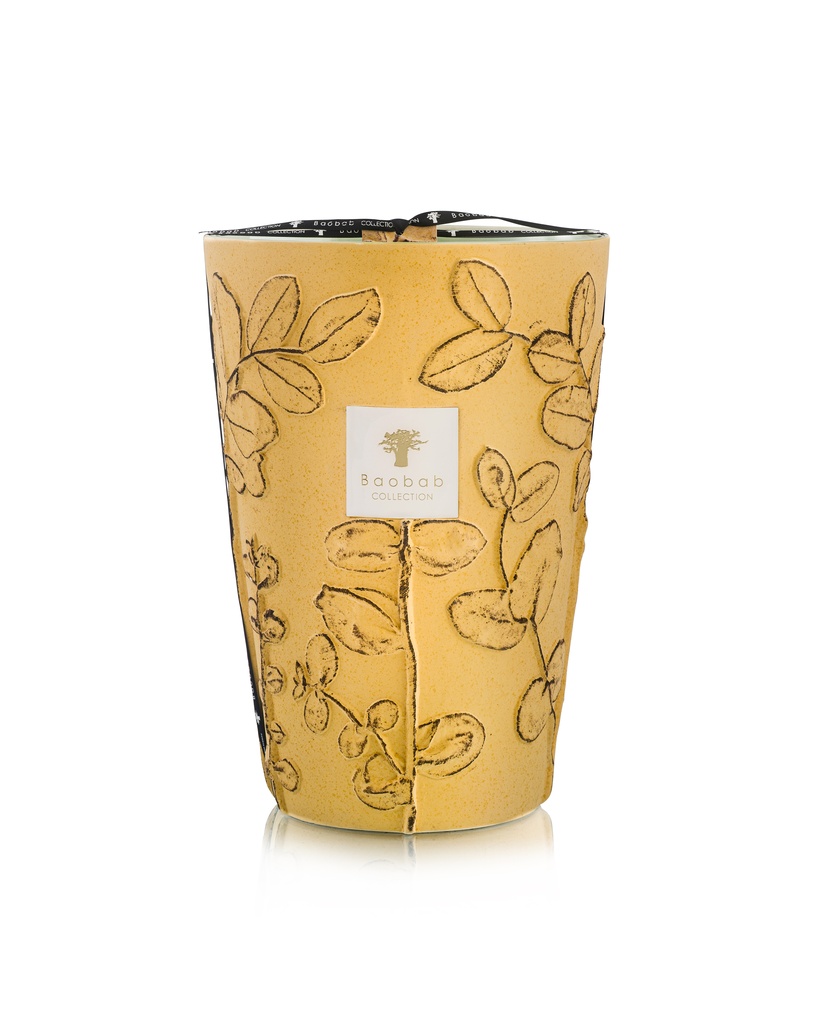 Scented candle Limited Edition Folia Garrigue Max 35