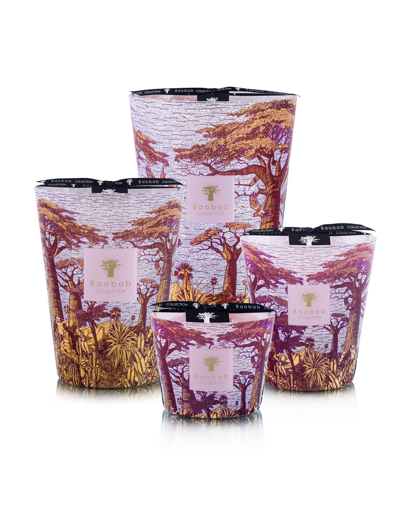 Scented Candle Limited Edition Sacred Trees Massasso max 35