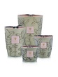 Scented candle Limited Edition  Folia Maquis Max 10