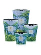 Scented Candle Limited Edition Sacred Trees Yarani Max 35