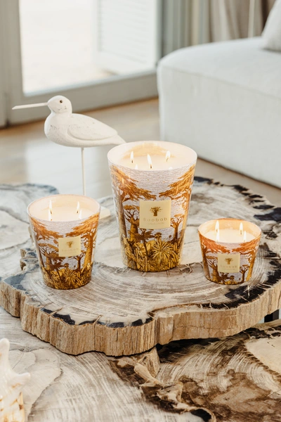 Scented candle Linited Edition Sacred Trees Cocody Max 35