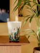 Αρωματικό κερί Rainforest Amazonia Max 35