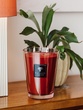 Scented candle All Seasons Maasai Spirit Max 10