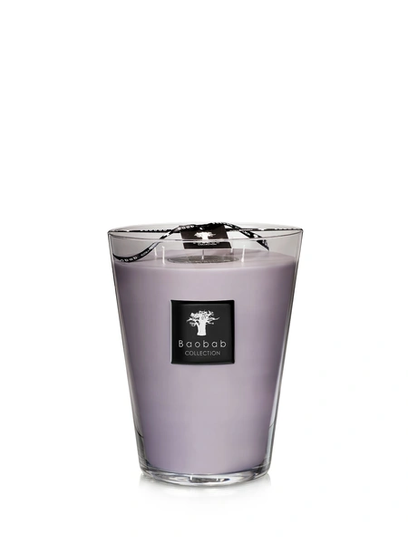 Scented candle All Seasons White Rhino Max 24